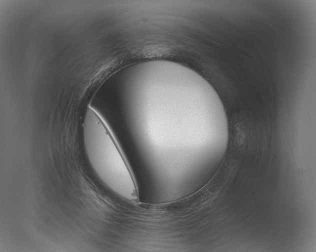 X0000077340308200610200947