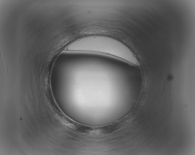 X0000077340309200610200947
