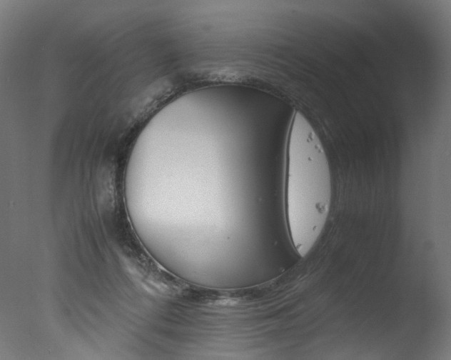X0000077340312200610200947