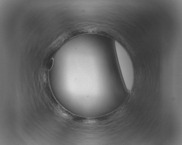 X0000077340313200610200947