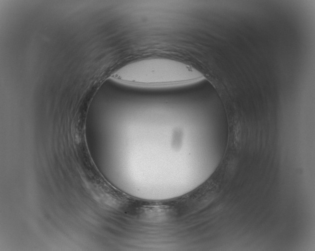 X0000077340316200610200947