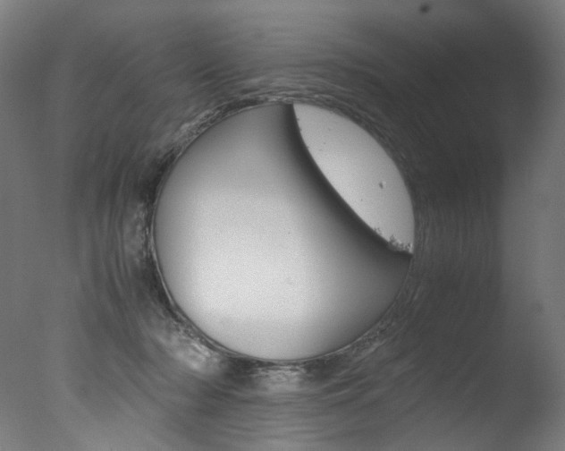 X0000077340318200610200947