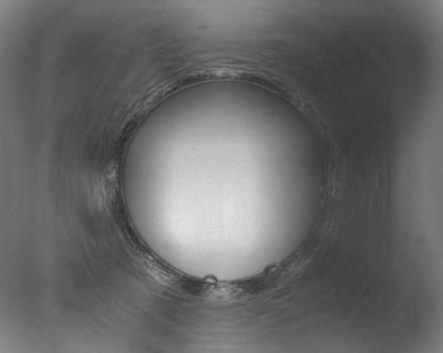 X0000077340321200610200947