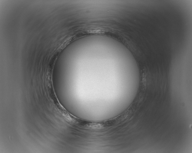 X0000077340322200610200947
