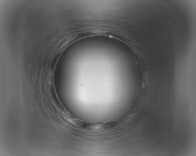X0000077340325200610200947
