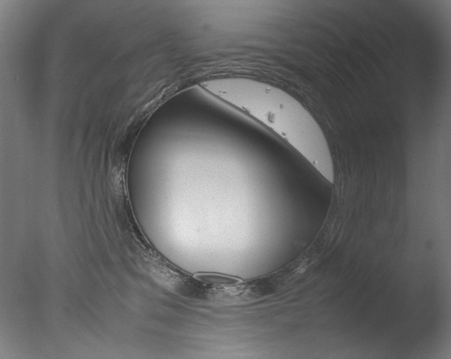 X0000077340329200610200947