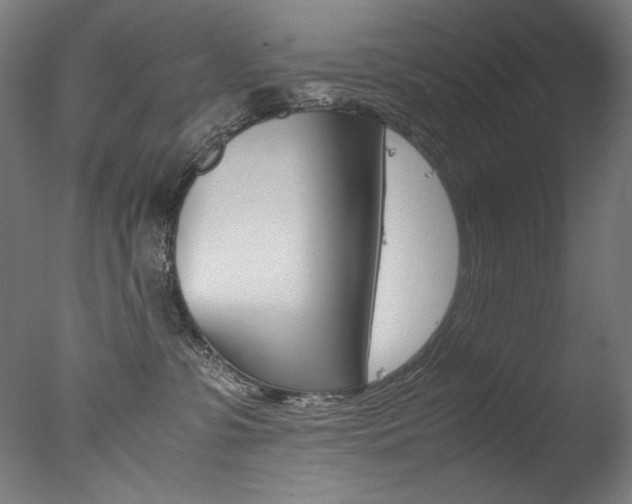 X0000077340331200610200947