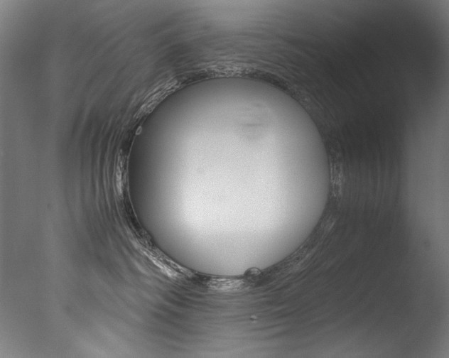 X0000077340334200610200947
