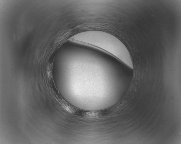 X0000077340335200610200947