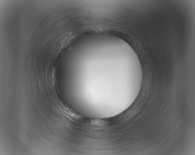 X0000077340336200610200947