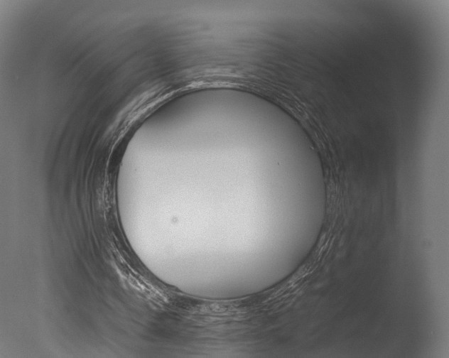 X0000077340338200610200946