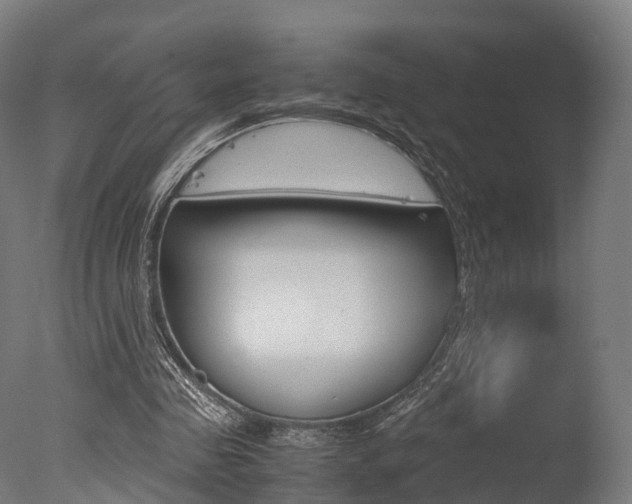 X0000077340341200610200946
