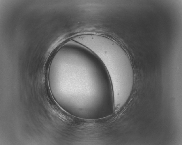 X0000077340344200610200946