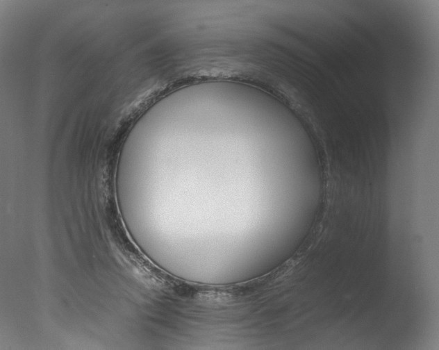 X0000077340354200610200946