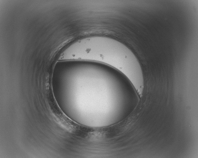 X0000077340356200610200946