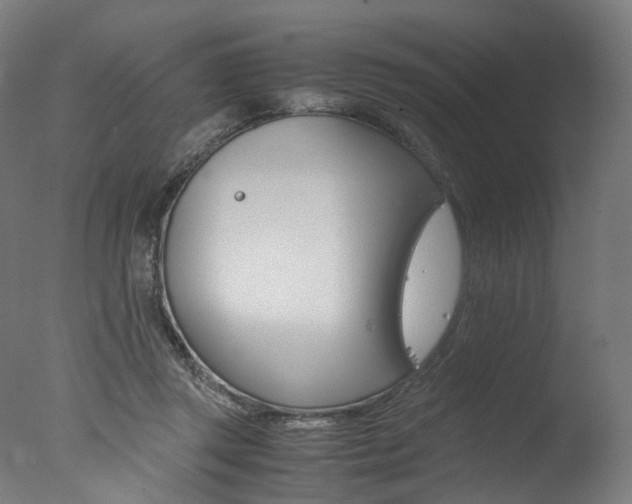 X0000077340357200610200946