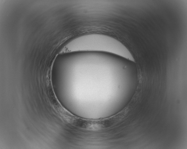 X0000077340360200610200946