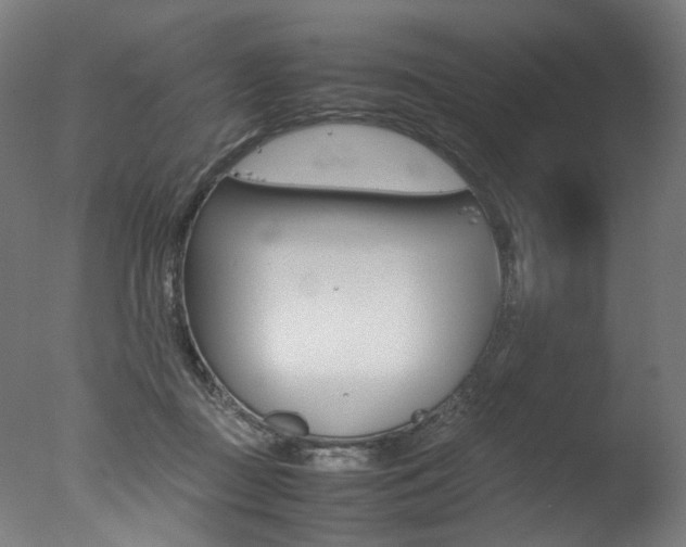 X0000077340363200610200947