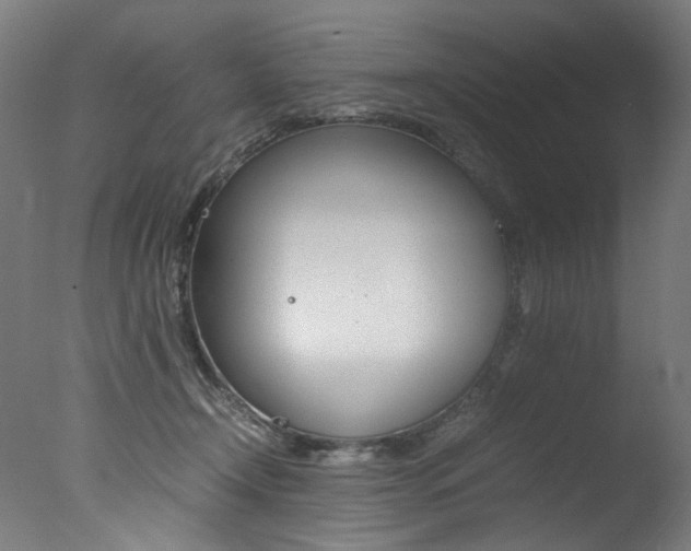 X0000077340366200610200947