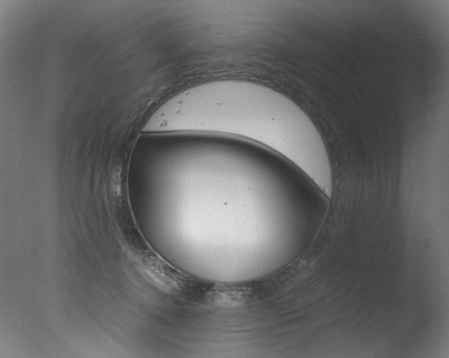 X0000077340368200610200947
