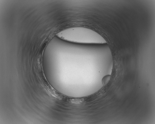 X0000077340373200610200947