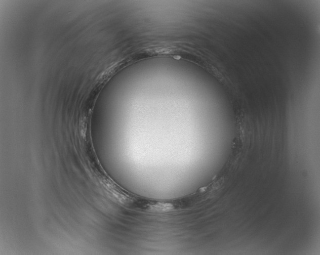 X0000077340374200610200947