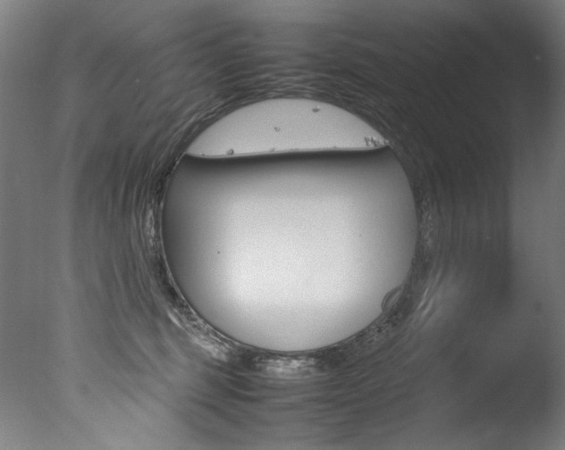 X0000077340375200610200947