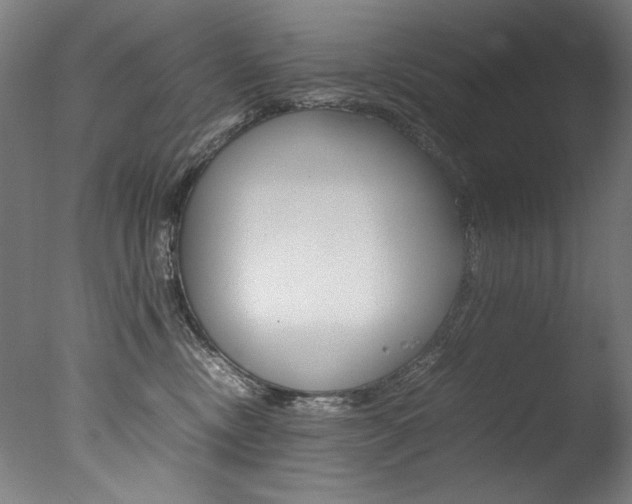 X0000077340378200610200947