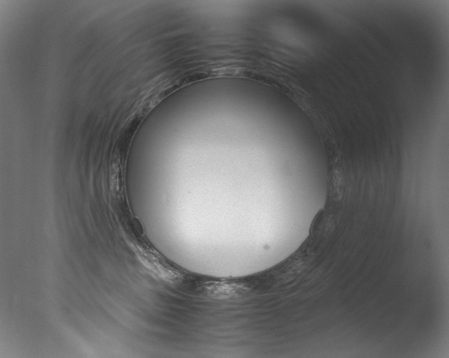 X0000077340379200610200947