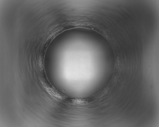 X0000077340380200610200947