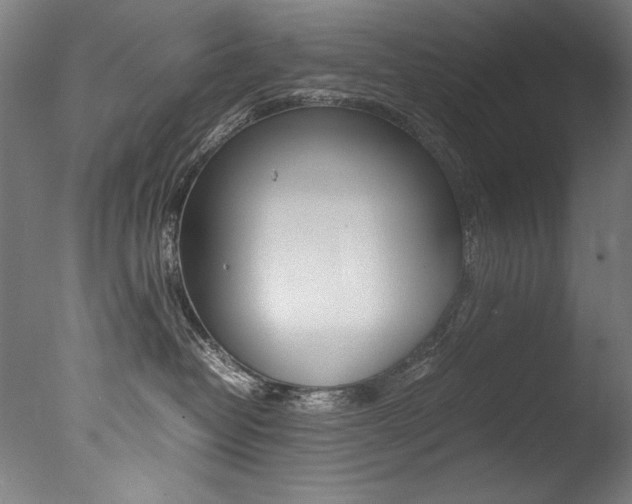 X0000077340382200610200947
