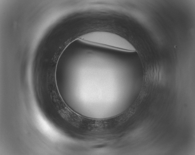 X0000077340383200610200947