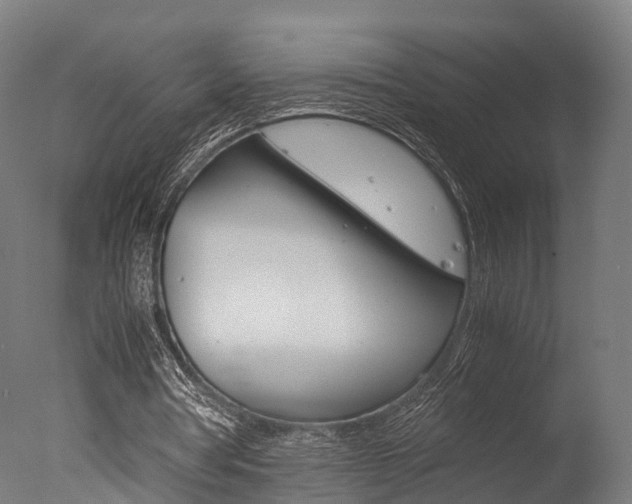 X0000077340386200610200946