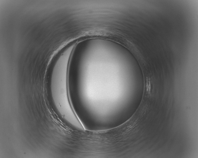 X0000077340388200610200946