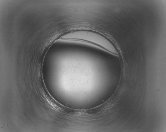 X0000077340393200610200946