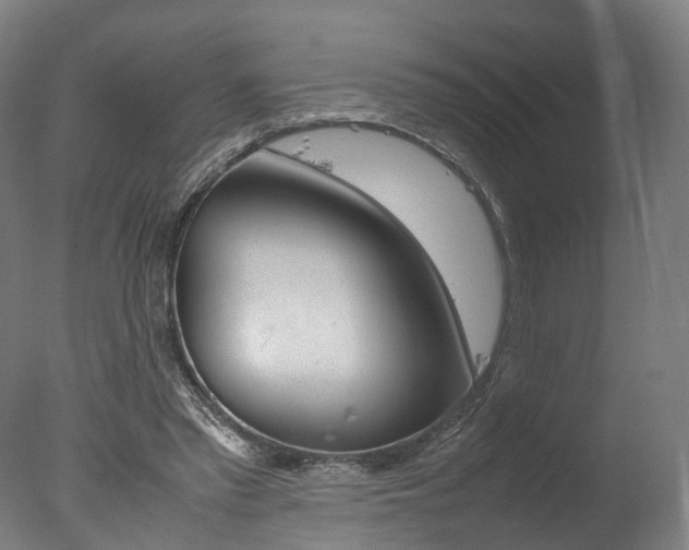X0000077340397200610200946