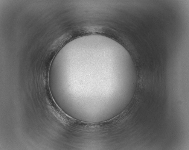 X0000077340402200610200946
