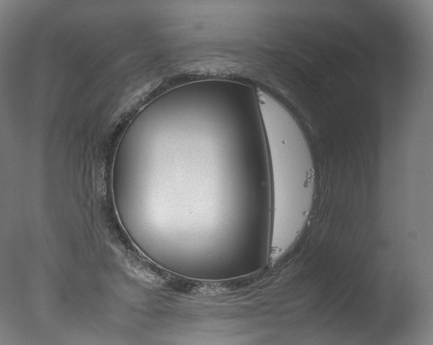 X0000077340403200610200946