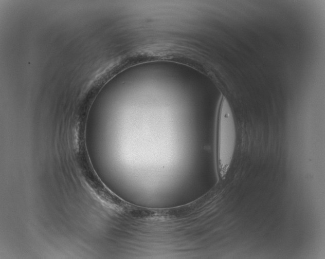 X0000077340404200610200946