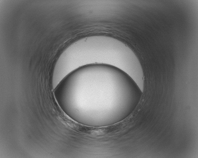 X0000077340411200610200946