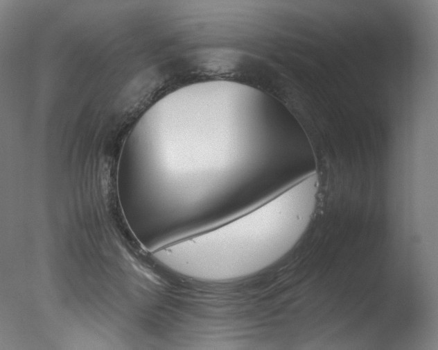 X0000077340412200610200946