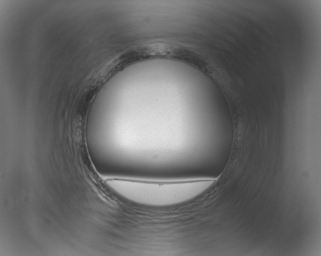 X0000077340413200610200946