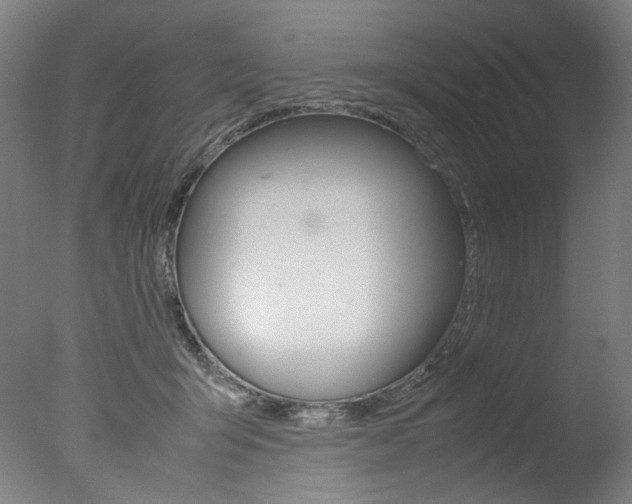 X0000077340415200610200946