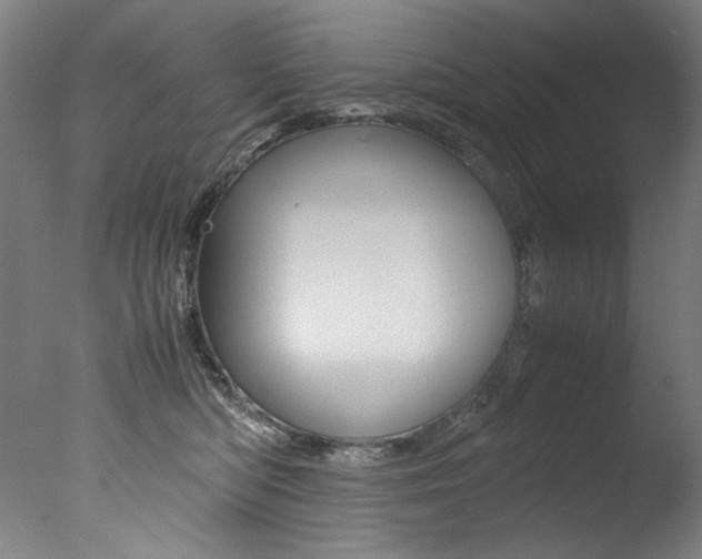 X0000077340422200610200945