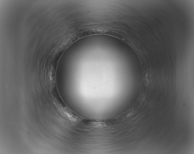 X0000077340424200610200945