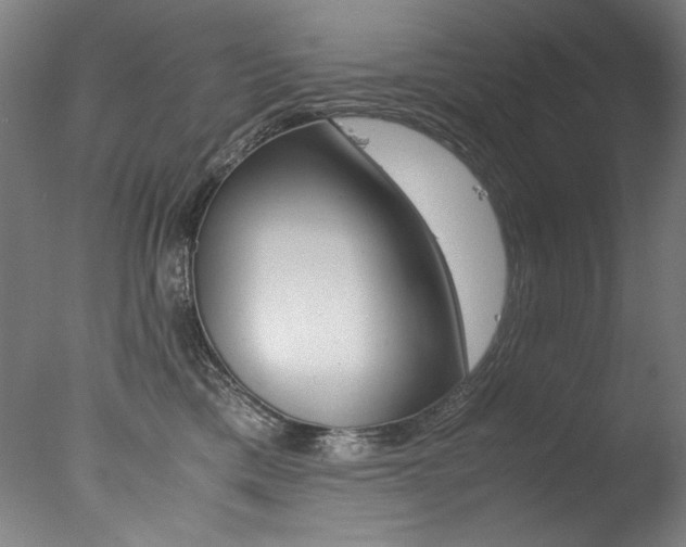 X0000077340425200610200945