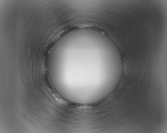 X0000077340426200610200945