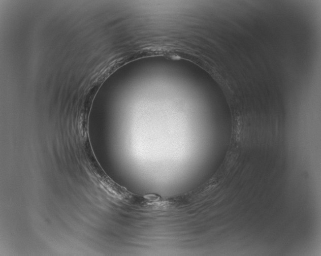 X0000077340428200610200945