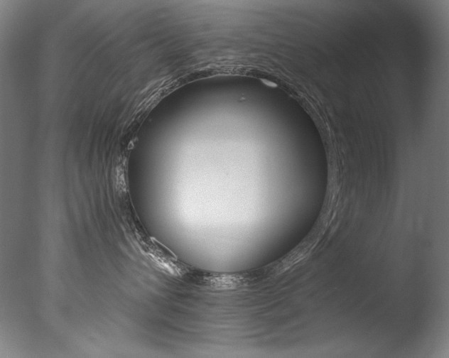 X0000077340432200610200945
