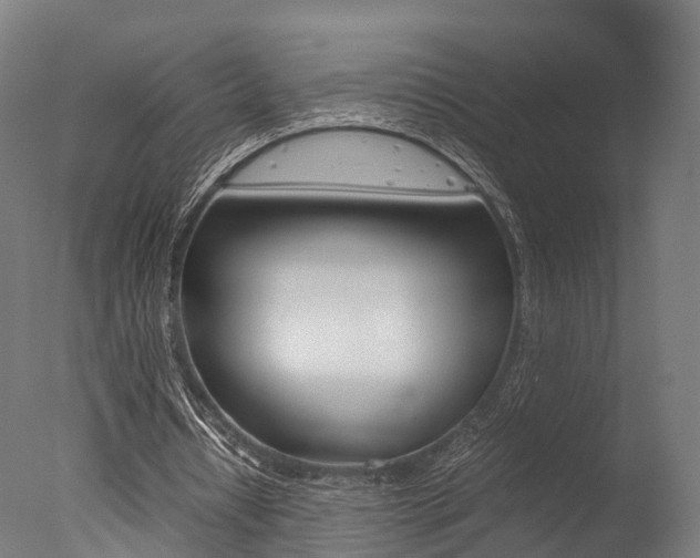 X0000077340434200610200945